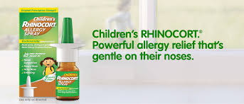 The 22 best safe nasal sprays during pregnancy 2020. Nasal Allergy Relief Rhinocort Allergy Spray