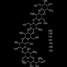 Image result for Commiphora fulvotomentosa