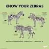 Comments about black zebra you know the stone black zebra well or have a question about black zebra, then post a comment here. Https Encrypted Tbn0 Gstatic Com Images Q Tbn And9gcstbt 9djpjapsgja93wz6gxms0aubtmj0sbh3tiqrrpjowdncg Usqp Cau