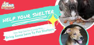 Zana fauzi november 4, 2010. Animal Medical Centre Kl Malaysia Home Facebook