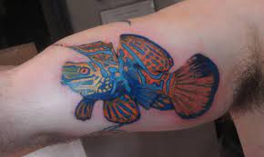 Maybe you would like to learn more about one of these? 16 Famous Saltwater Fish Tattoos