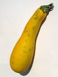 We did not find results for: Summer Squash Farmer Foodshare