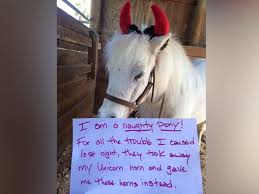 Check spelling or type a new query. Runaway Unicorn Leads California Highway Patrol On Hours Long Chase Abc News