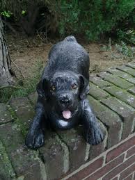 Labradorwelpe Hundefigur Aus Polyresin Masse Der Dekofigur Sind 21 X 20 X 39 Cm Labradorwelpen Labrador Gartenfiguren Tiere
