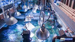 Maybe you would like to learn more about one of these? How Do You Light A 20 000 Gallon Reef Tank Reef Builders The Reef And Saltwater Aquarium Blog