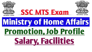 Mts (multitasking staff) refers to a group of people in c cadre position. Ssc Mts Exam Ministry Of Home Affairs Promotion Job Profile Salary Facility Edugorilla Trends Videos News Career Updates