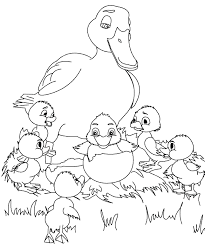 Or else, do online coloring directly from your tab, ipad or on our web feature for this baby duck is a duckling coloring page. Pin On Birds Coloring Pages