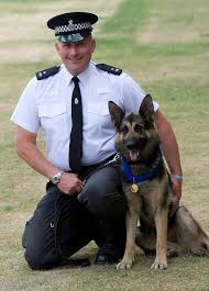 Pdsa Gold Medal Military Dogs K9 Police Dogs Dog Hero