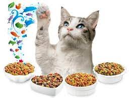 Cat Food Homemade Cat Food Versus Commercial Cat Food Food Animals Best Cat Food Wet Cat Food