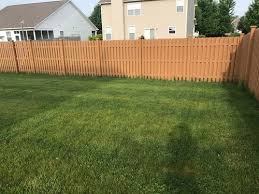 How much does lawn mowing cost? Zebra Stripes In Lawn After Scotts Weed And Feed Please Help