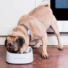 Check spelling or type a new query. Buy Petkit F1 Smart Pet Bowl Receive It In 24 Hours