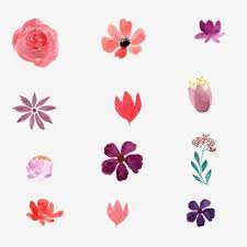 ✓ free for commercial use ✓ high quality images. Watercolor Hand Painted Flower Collection Flowers Plant Watercolor Png And Vector With Transparent Background For Free Download Watercolor Flowers Paintings Flower Painting Flower Drawing