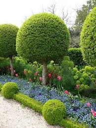 See which trees are his favorite in his latest article on homeshow garden pros. 28 Boxwoods Ideas Beautiful Gardens Boxwood Landscape Design