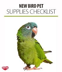 Birdsupplies Pet Bird Supplies Explore All The Explore All The Supplies You Need For Your New Pet Bird Pet Birds Pet Bird Pets