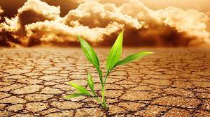 See global warming stock video clips. Global Warming Or Climate Change Sgk Planet