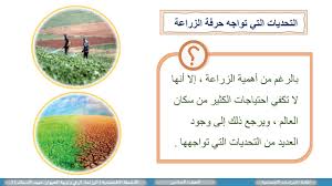الصف السادس الدراسات الاجتماعية الانشطة الاقتصادية 3 Youtube