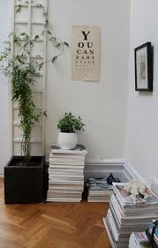Notes On Lifestyle Climbing Jasmine Indoor Vines Wall Climbing Plants Indoor Plant Wall