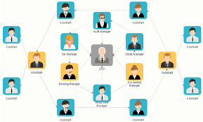 Flat Organizational Structure Diagram Wiring Diagrams