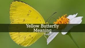 Black And White Butterfly Spiritual Meaning Yellow Butterfly Meaning A Yellow Butterfly Can Be A Sign Of Happiness And Hope It Brings Positi Yellow Butterfly Meaning Butterfly Meaning Yellow Butterfly
