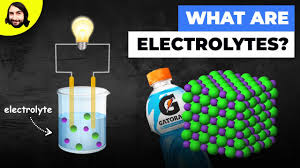 Image result for Electrolyte