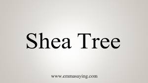 Say it out loud and exaggerate the sounds until you can consistently produce them. How To Say Shea Tree Youtube