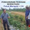 Projek pembangunan pertanian bersepadu (iada) samarahan. Https Encrypted Tbn0 Gstatic Com Images Q Tbn And9gcqi5h Imbljodyvj Xj6os37mnci0f004evspzupnac9ois1lih Usqp Cau