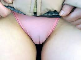 The following tags are aliased to this tag: Cameltoe Panties Pussy Mound