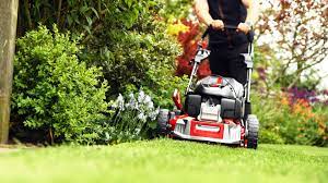 Find a dealer near me. Best Petrol Lawn Mower 2021 Tough Mowers For Bigger Gardens T3