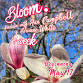 Bloom. Kundalini 5-week Series — The Collective