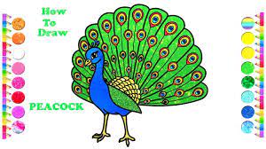 How To Draw A Peacock Easy Peacock Drawing And Coloring Pages Peacock Drawing Easy Drawings Drawing Videos For Kids I used doms colour pencil set in black colour pencil. peacock drawing easy drawings