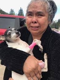 My sweet baby Lucy (that I'm sure many of you have seen me post in various  comments bc I'm obsessed with her) unexpectedly passed away yesterday  morning. My heart is in a