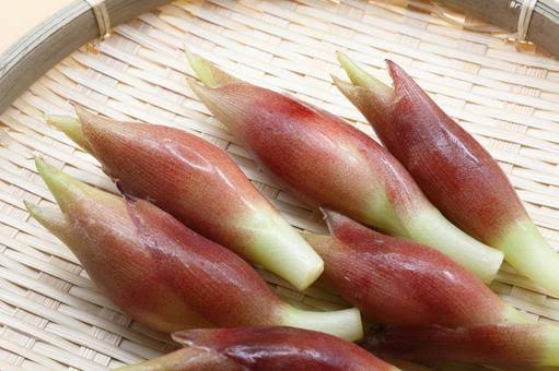 花みょうがの写真素材｜写真素材なら「写真AC」無料（フリー）ダウンロードOK