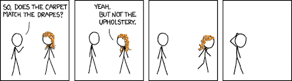 241 friends 167 reviews i notice many women have a deep, deep love of the hardwood. 508 Drapes Explain Xkcd