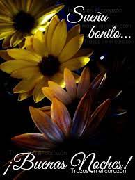 Buenas Noches En 2021 Buenas Noches Noche Corazones Bonitos