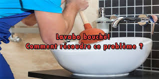Lavabo Bouche Comment Resoudre Ce Probleme Lavabo Bouche Lavabo Plombier