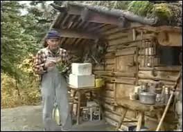 The homestead is available for special events, weddings, groups, retreats, nature hikes, and workshops. Page Not Found Dream Cabin In The Woods Tiny House On Wheels How To Build A Log Cabin