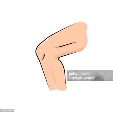 34 Acl High Res Illustrations - Getty Images