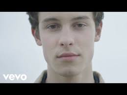 Shawn Mendes There S Nothing Holding Me Back Shawn Mendes Songs Shawn Mendes Video Games For Kids