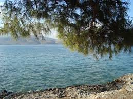 Το παραλιακό κομμάτι των αγίων πάντων προσφέρεται για καφέ, φαγητό αλλά και βουτιές στην παραλία. Paralies Sto Gala3idi Fwkida Terrabook