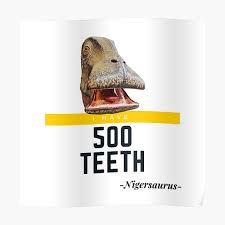 Dinosaurs have evolved diverse shapes and sizes. 500 Teeth Dinosaur Posters Redbubble