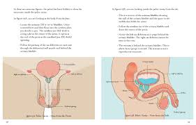 Anatomy arcade a fun interactive site with games that will help you learn the formal names, say, of muscles, bones, and such. Boy Anatomy Anatomy Drawing Diagram