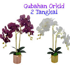 Maybe you would like to learn more about one of these? Gubahan Bunga Hiasan Price Promotion Aug 2021 Biggo Malaysia