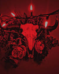 Pin by caelum heart on amino aesthetics red rooms red aesthetic. R E D R O O M