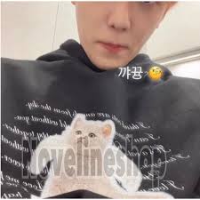 Harga nct zeno Terbaru Sep 2025