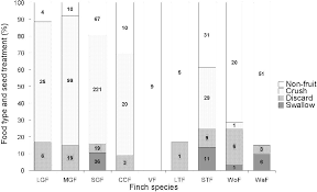Image result for Kyllinga robinsoniana