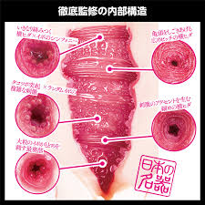 日本の名器 姫咲はな丨大人のおもちゃとアダルトグッズ専門店ワイルドワン