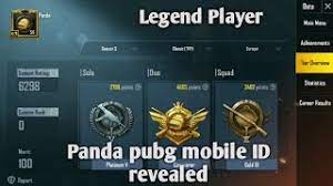 Panda Pubg Mobile Id Revealed Legend Player See Now Youtube