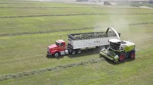 Just another hay day