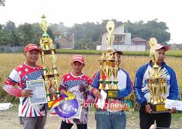 Naga pesona/sesarang margaret (michael 354); Lomba Merpati Balap Sprint Liga Jabawi Laga Kelas Junior Berlangsung Sengit Misteri Thi Tercepat Di Kelas Utama Senior Burungnews