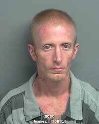 WILLIAMSON, MICHAEL LANN